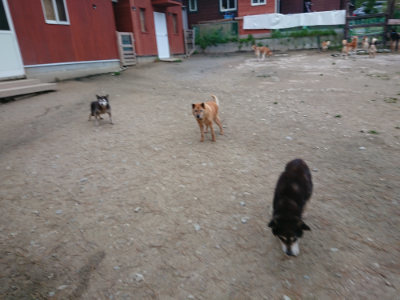 f:id:roukenhome-ann:20190429142453j:plain