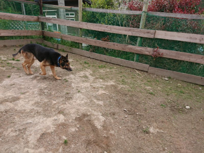 f:id:roukenhome-ann:20190429142458j:plain