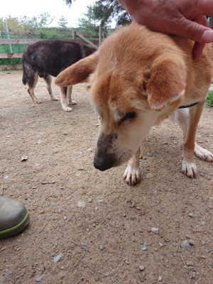 f:id:roukenhome-ann:20190429142624j:plain