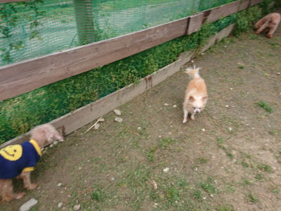 f:id:roukenhome-ann:20190429142637j:plain