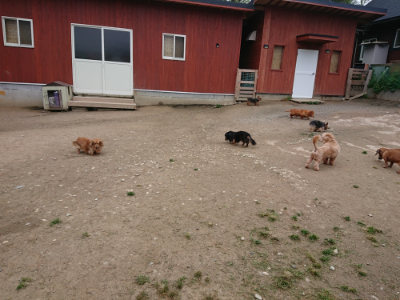 f:id:roukenhome-ann:20190429142642j:plain