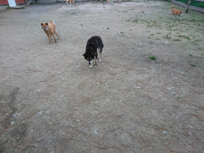 f:id:roukenhome-ann:20190429142654j:plain