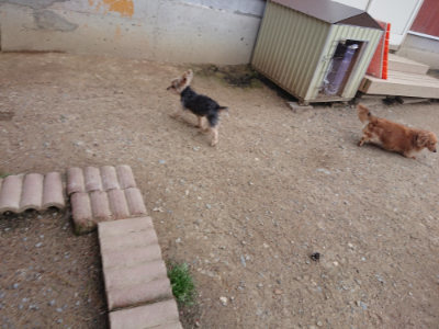 f:id:roukenhome-ann:20190429142701j:plain