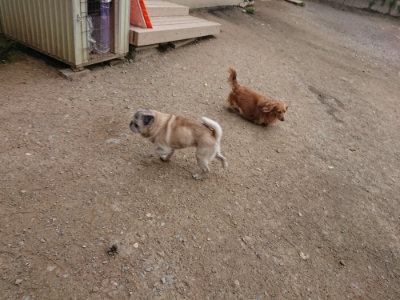 f:id:roukenhome-ann:20190429142717j:plain