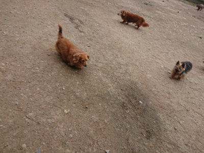 f:id:roukenhome-ann:20190429142729j:plain