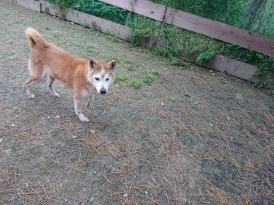 f:id:roukenhome-ann:20190429142750j:plain