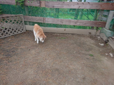 f:id:roukenhome-ann:20190429142818j:plain