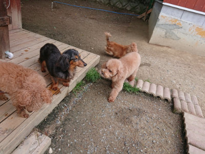 f:id:roukenhome-ann:20190429142842j:plain