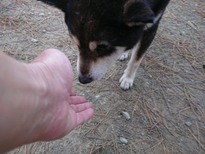 f:id:roukenhome-ann:20190429142848j:plain