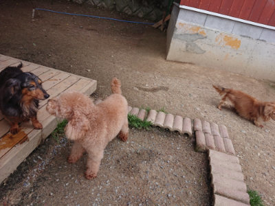 f:id:roukenhome-ann:20190429142925j:plain