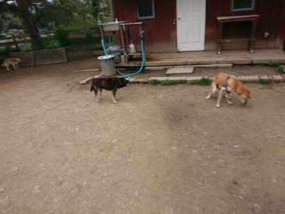 f:id:roukenhome-ann:20190429142947j:plain