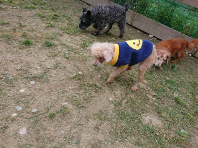 f:id:roukenhome-ann:20190429143000j:plain