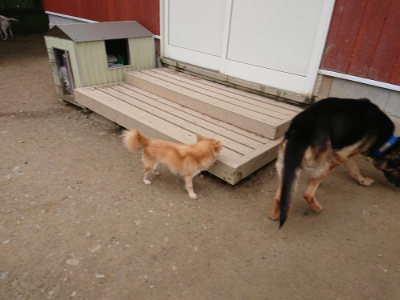 f:id:roukenhome-ann:20190429143103j:plain