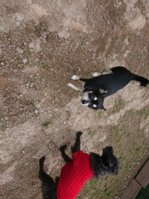 f:id:roukenhome-ann:20190429143108j:plain