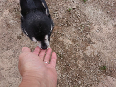 f:id:roukenhome-ann:20190429143114j:plain