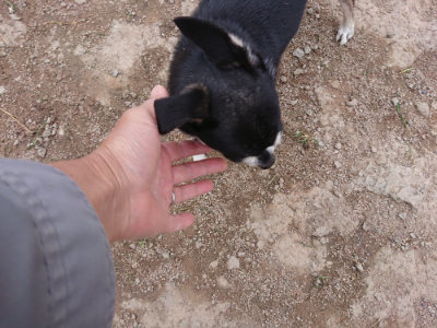 f:id:roukenhome-ann:20190429143121j:plain