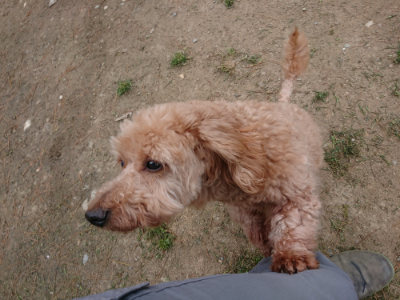 f:id:roukenhome-ann:20190429143139j:plain