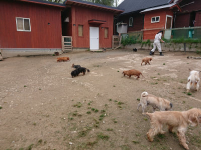 f:id:roukenhome-ann:20190429143145j:plain