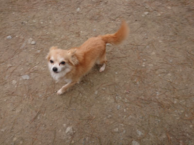 f:id:roukenhome-ann:20190429143150j:plain