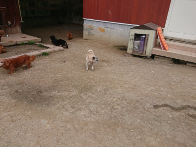 f:id:roukenhome-ann:20190429143212j:plain