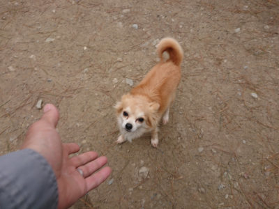 f:id:roukenhome-ann:20190429143225j:plain