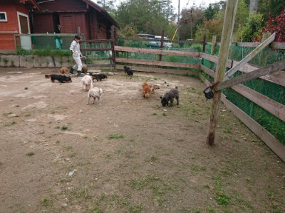 f:id:roukenhome-ann:20190429143243j:plain