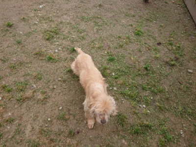 f:id:roukenhome-ann:20190429143311j:plain