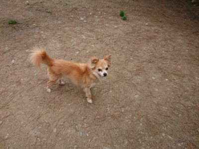 f:id:roukenhome-ann:20190429143412j:plain