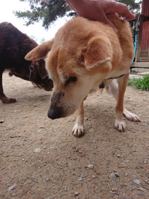 f:id:roukenhome-ann:20190429143421j:plain