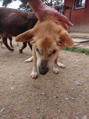 f:id:roukenhome-ann:20190429143426j:plain