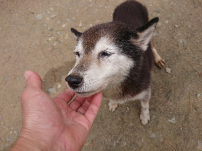 f:id:roukenhome-ann:20190429143441j:plain