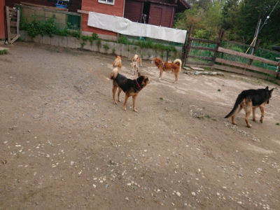 f:id:roukenhome-ann:20190429143445j:plain