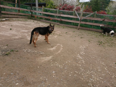 f:id:roukenhome-ann:20190429143455j:plain