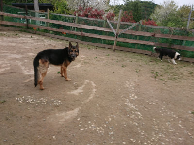 f:id:roukenhome-ann:20190429143500j:plain