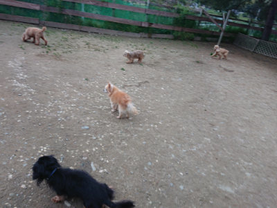 f:id:roukenhome-ann:20190429185203j:plain