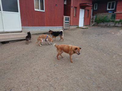 f:id:roukenhome-ann:20190429185209j:plain