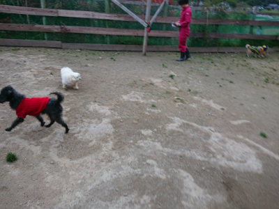 f:id:roukenhome-ann:20190429185218j:plain