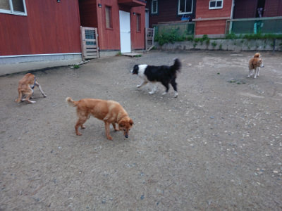 f:id:roukenhome-ann:20190429185230j:plain