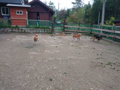 f:id:roukenhome-ann:20190429185236j:plain
