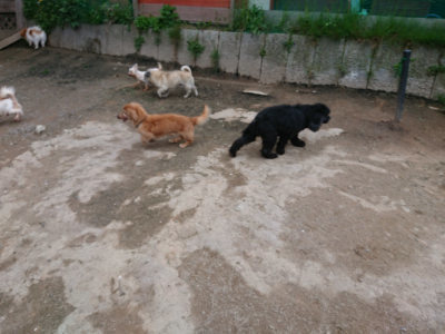 f:id:roukenhome-ann:20190429185251j:plain