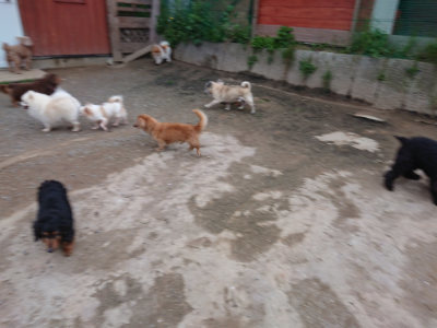 f:id:roukenhome-ann:20190429185257j:plain