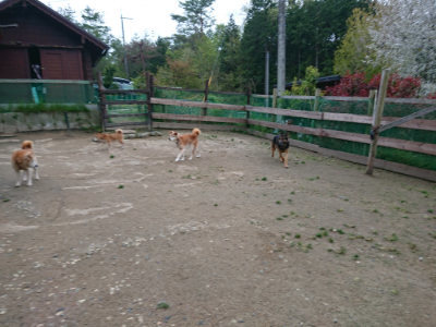 f:id:roukenhome-ann:20190429185308j:plain