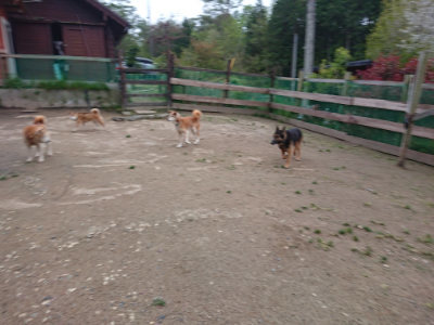 f:id:roukenhome-ann:20190429185314j:plain