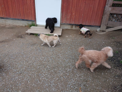f:id:roukenhome-ann:20190429185321j:plain