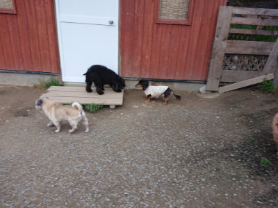 f:id:roukenhome-ann:20190429185327j:plain