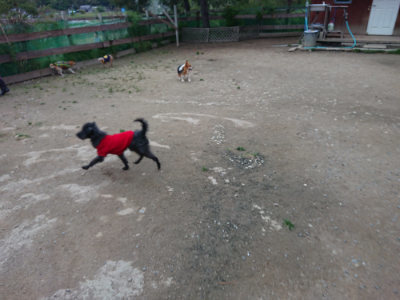 f:id:roukenhome-ann:20190429185333j:plain