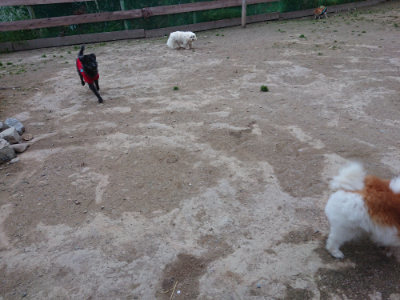 f:id:roukenhome-ann:20190429185355j:plain