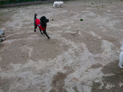 f:id:roukenhome-ann:20190429185400j:plain