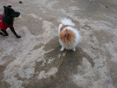 f:id:roukenhome-ann:20190429185405j:plain