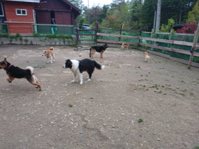 f:id:roukenhome-ann:20190429185410j:plain